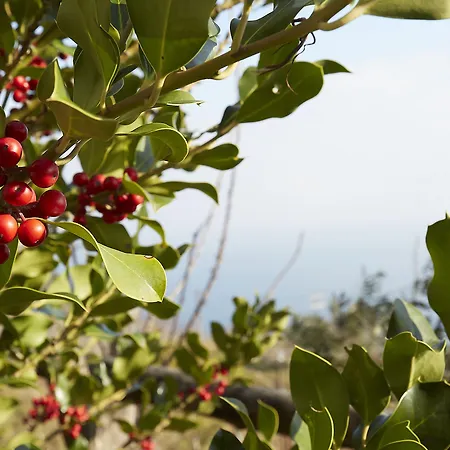 Thea Vakantiehuis Makrirrákhi