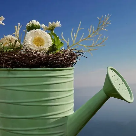 Vakantiehuis Thea Makrirrákhi